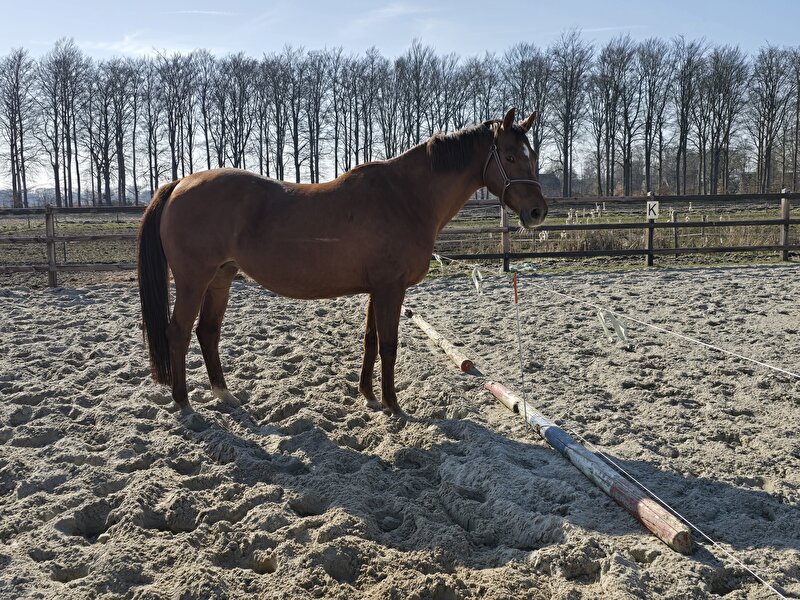 Afbeelding