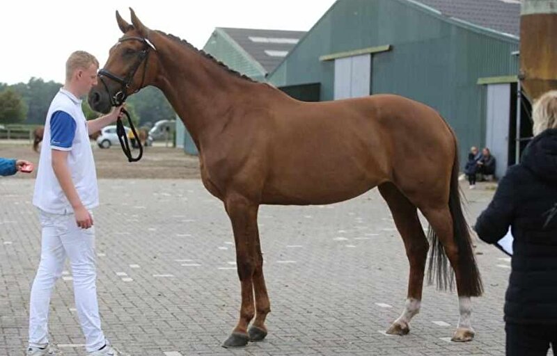 Afbeelding