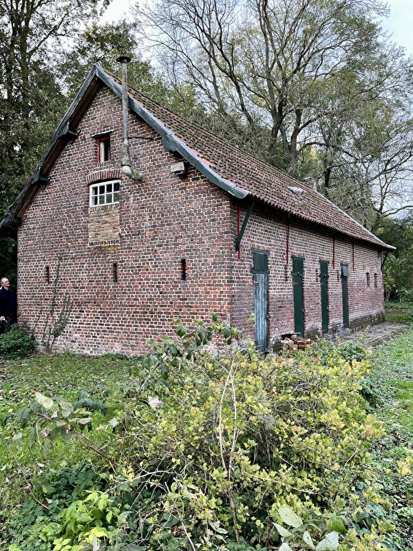 Afbeelding