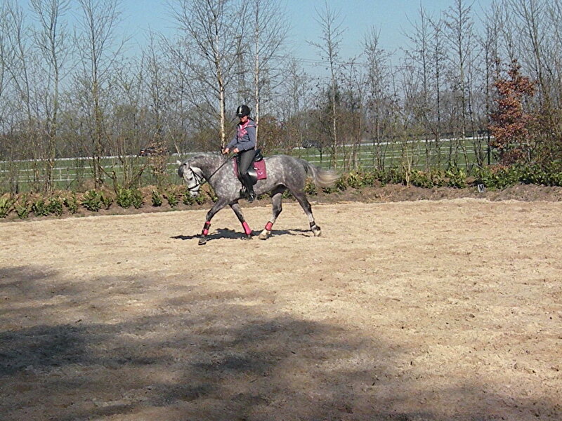 Afbeelding