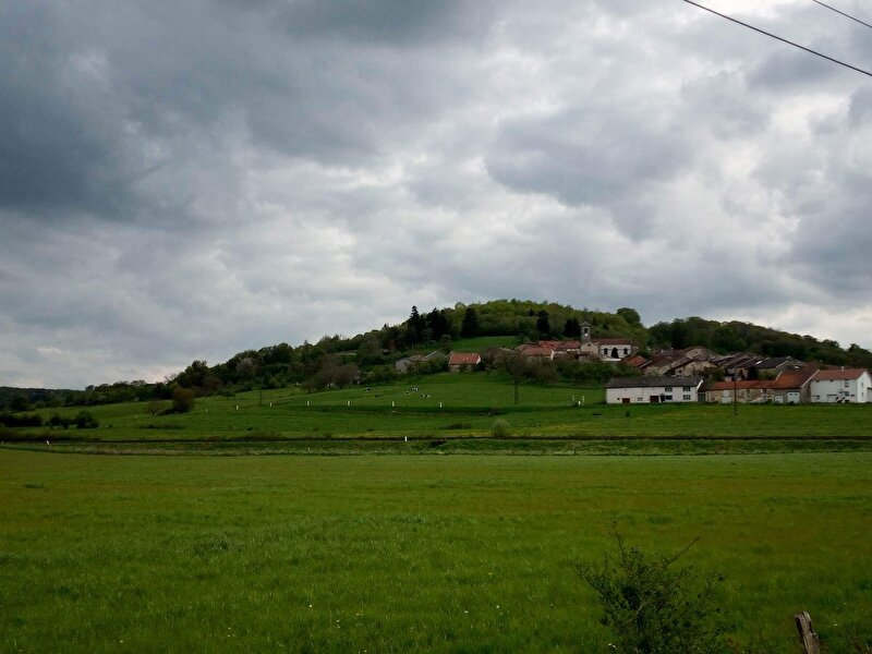 Afbeelding