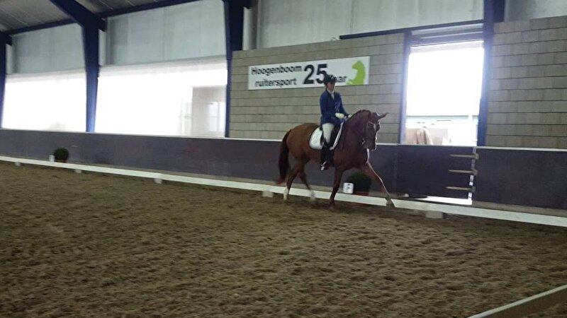 Afbeelding