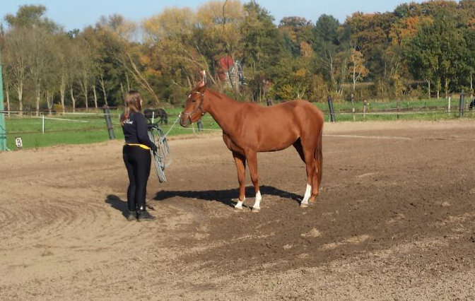 Afbeelding