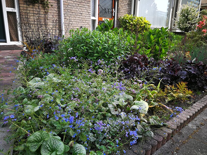 Tuintips; hoe ziet jouw (toekomstige) tuin eruit? Deel 2 • Bokt.nl