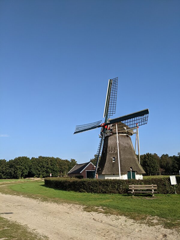 Afbeelding