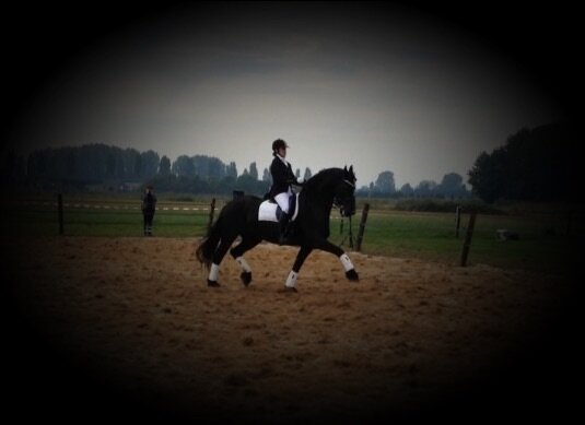 Afbeelding