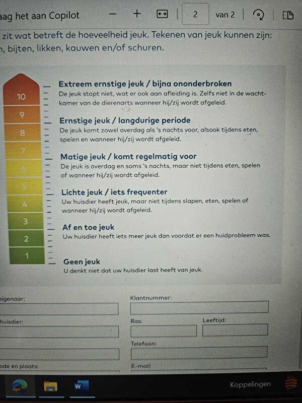 Afbeelding