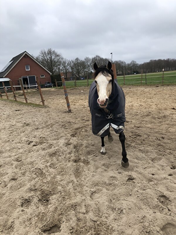 Afbeelding