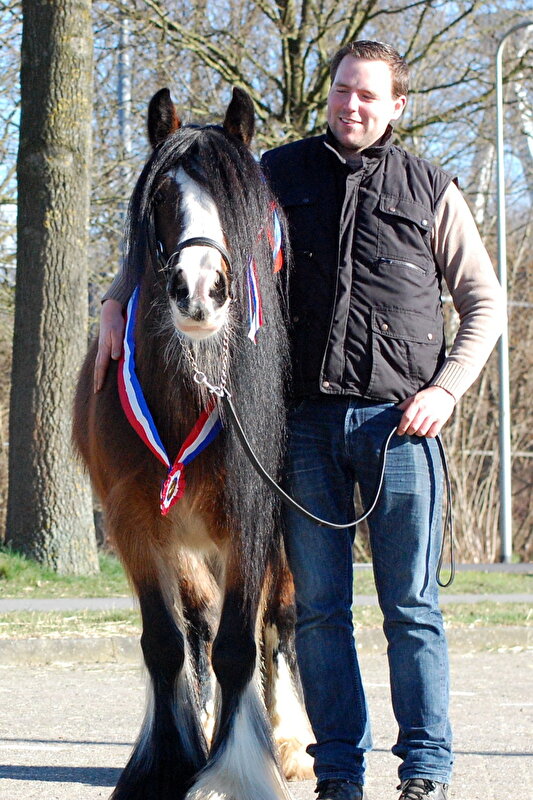 Afbeelding