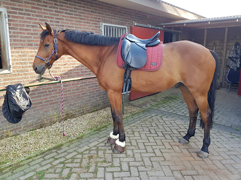 Afbeelding