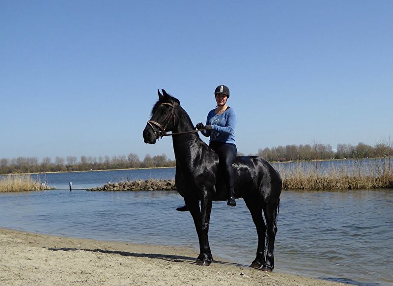 Afbeelding