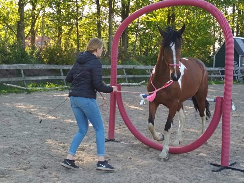 Afbeelding
