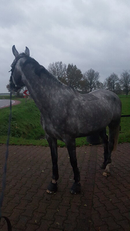 Afbeelding