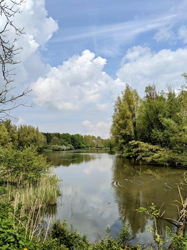Afbeelding