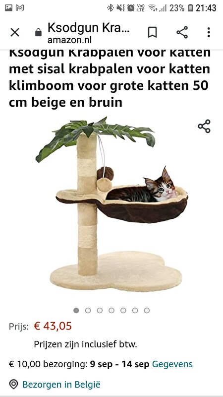 Afbeelding