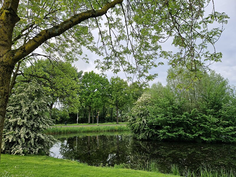 Afbeelding