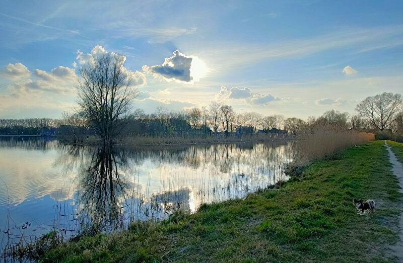Afbeelding