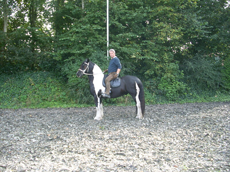 Afbeelding