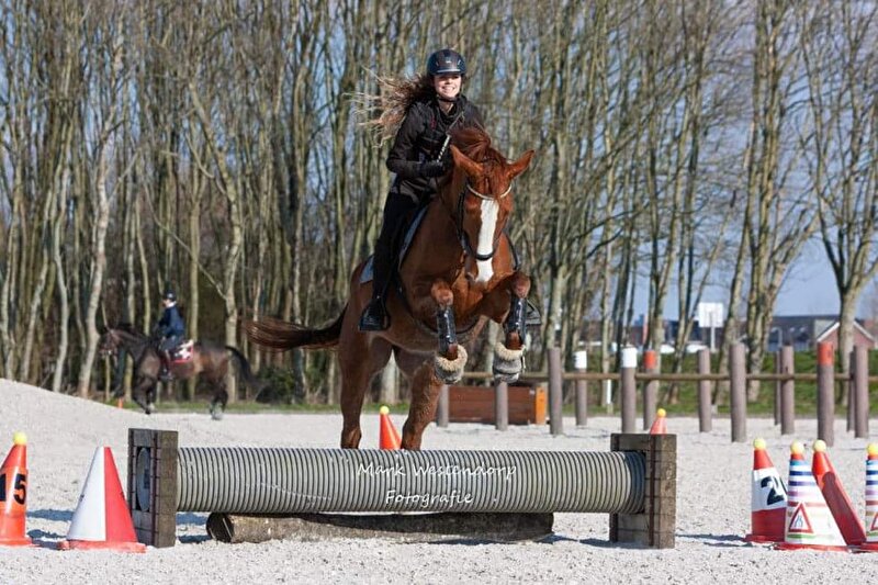 Afbeelding