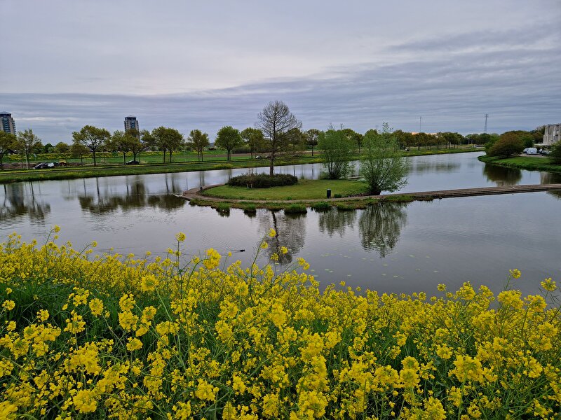 Afbeelding