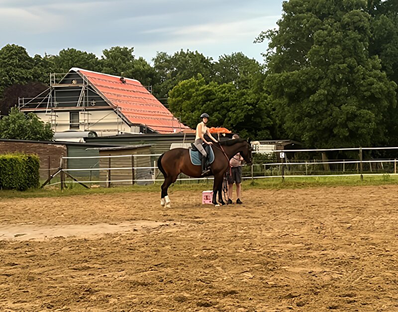 Afbeelding