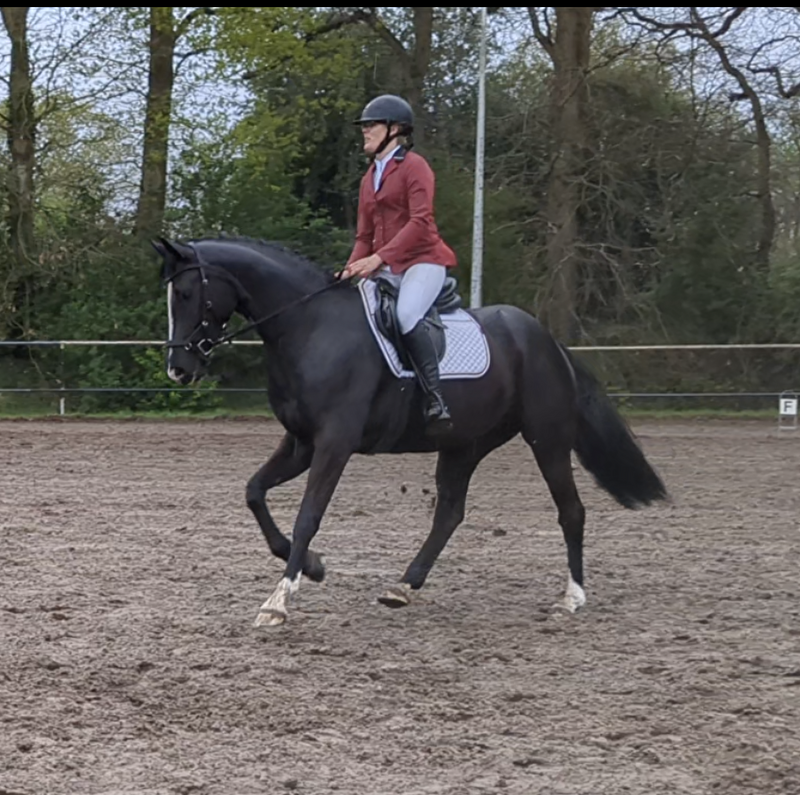 Afbeelding