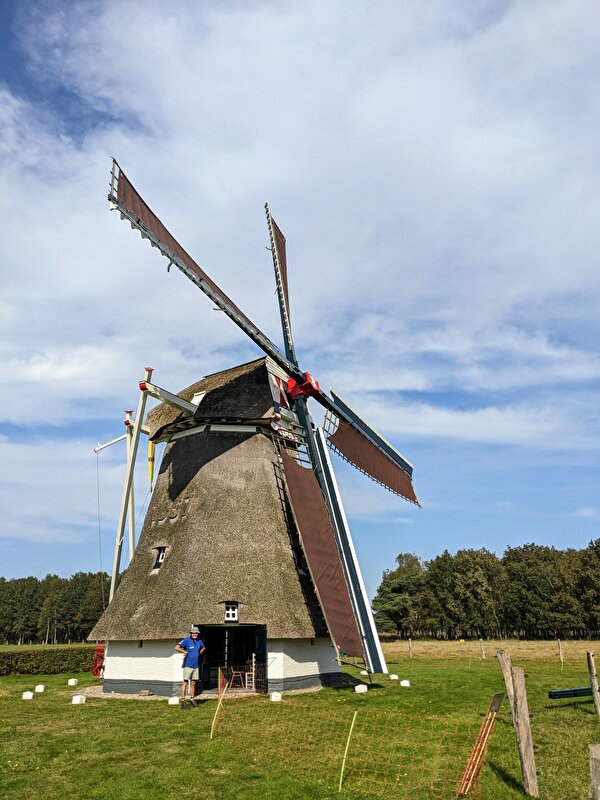 Afbeelding