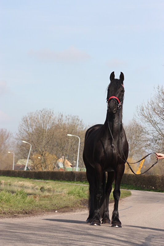 Afbeelding