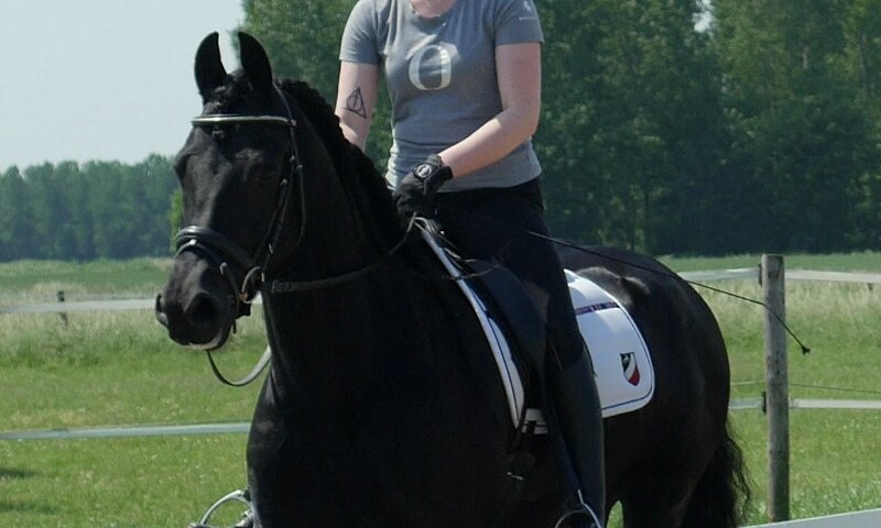 Afbeelding
