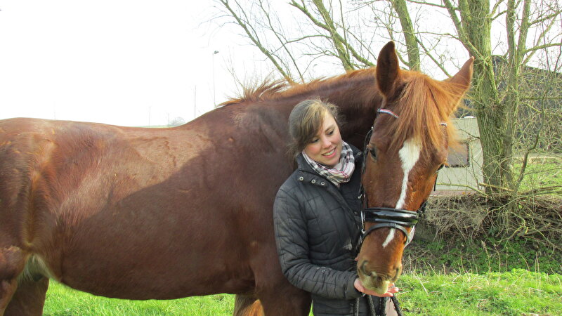 Afbeelding