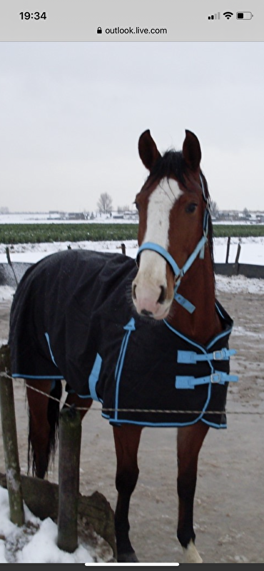Afbeelding