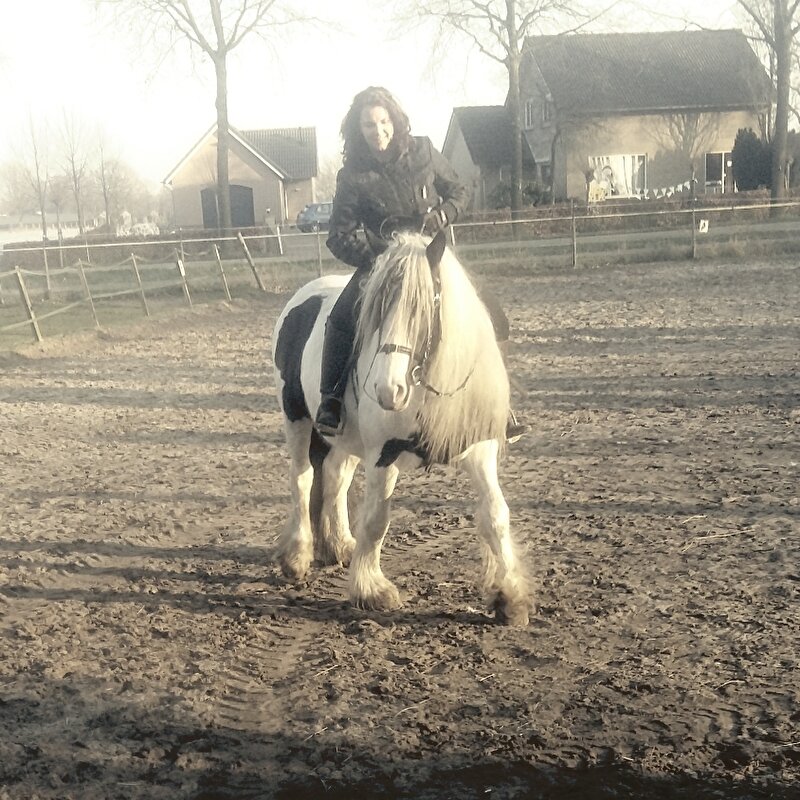 Afbeelding