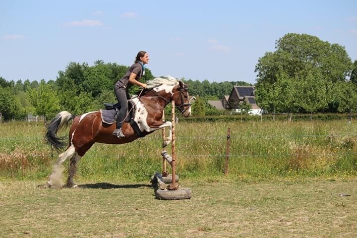 Afbeelding