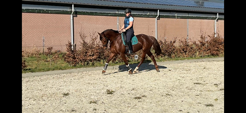 Afbeelding