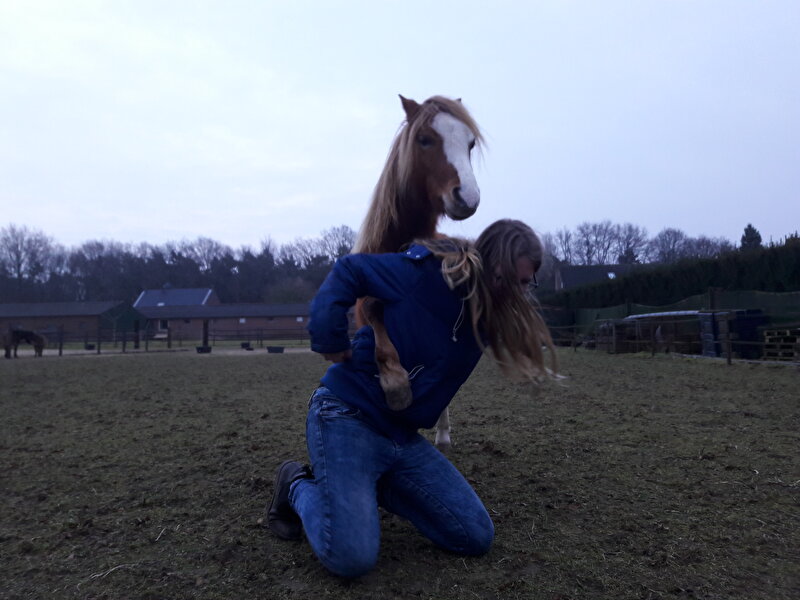 Afbeelding