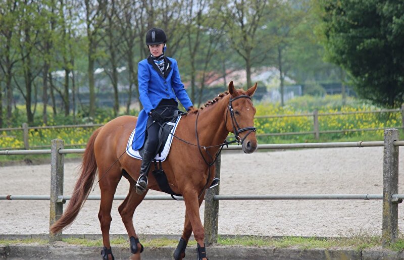 Afbeelding