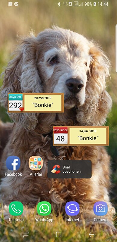 Afbeelding