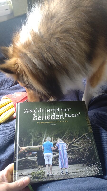 Afbeelding