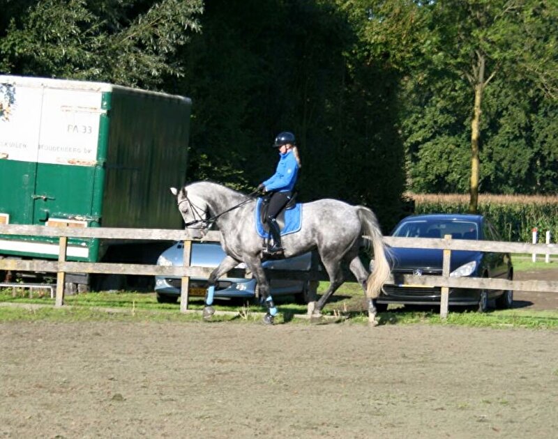 Afbeelding