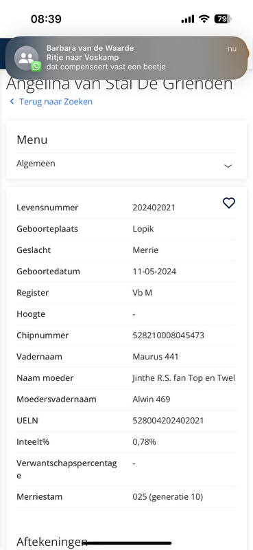 Afbeelding