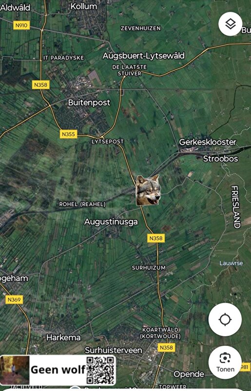 Afbeelding