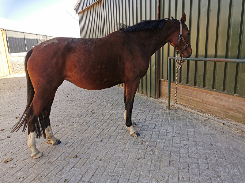 Afbeelding