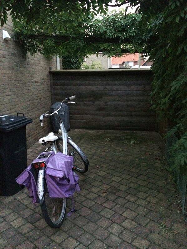 Afbeelding