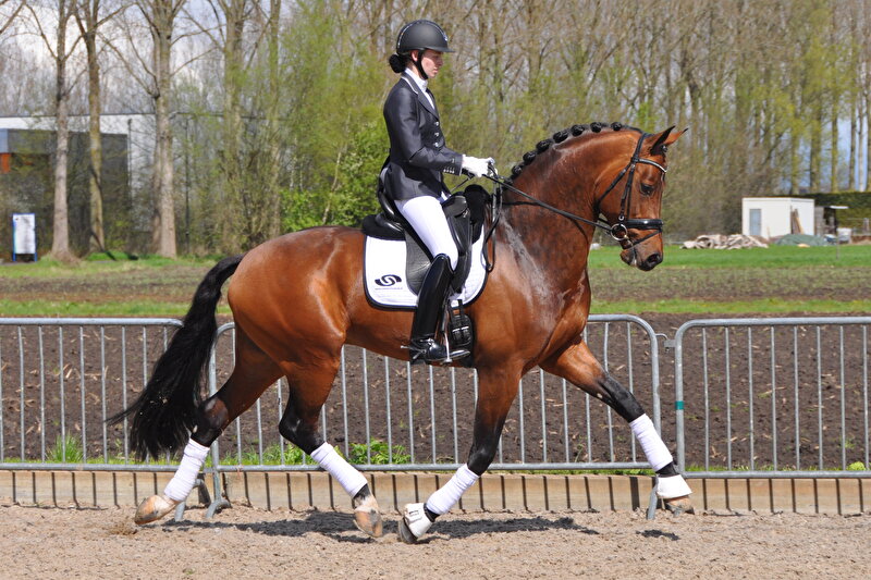 Afbeelding