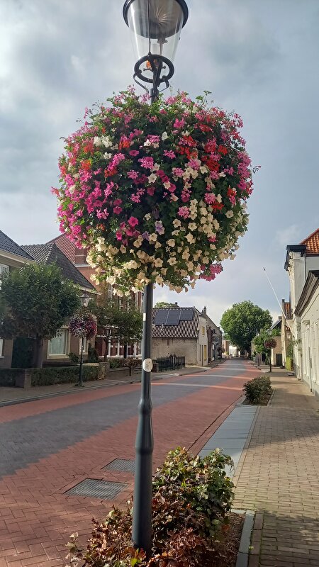 Afbeelding
