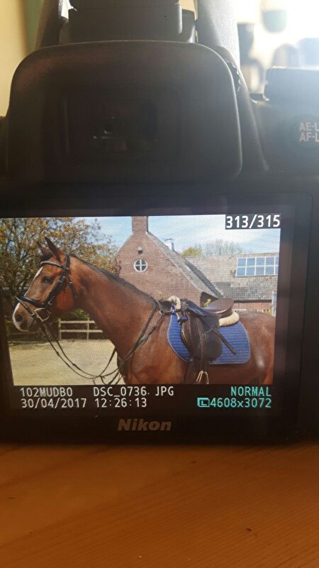 Afbeelding