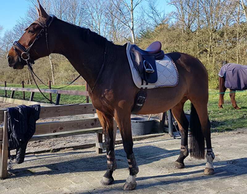 Afbeelding