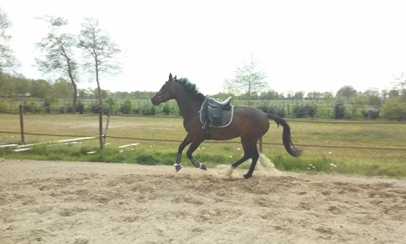 Afbeelding