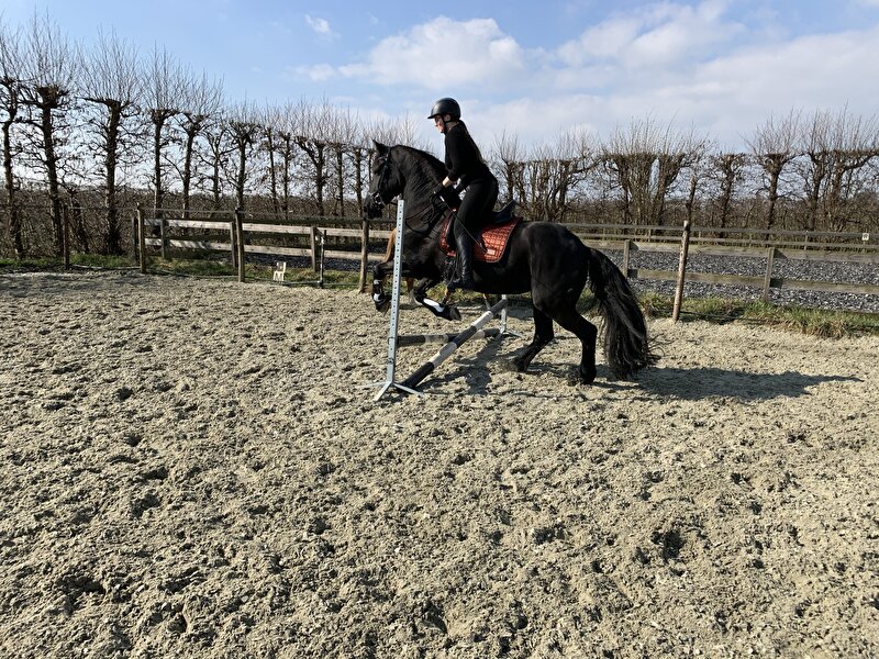 Afbeelding