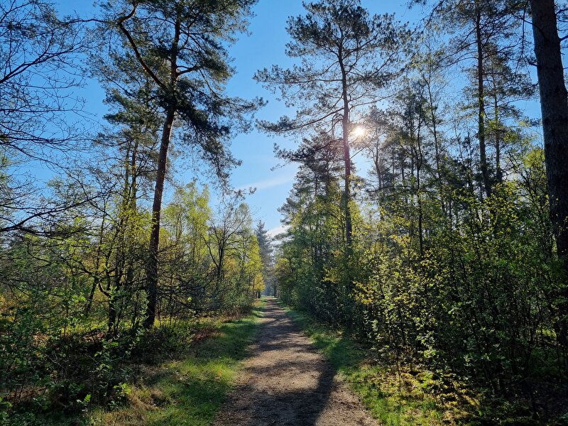 Afbeelding